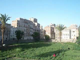 Sana'a - Old Town - Garden and Houses